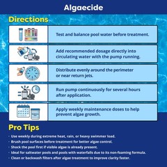In The Swim Algaecide 60 Plus For Swimming Pools – Non-Metallic, Low Odor,