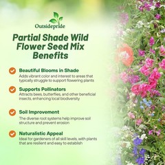 1 LB Partial Shade Wild Flower Seed Mix For Planting Outdoors