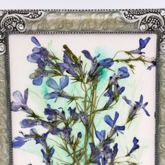 Botanical Art Pressed Blue Flowers In Ornate Metal Frame 6.75 X 4.5 Inch Signed