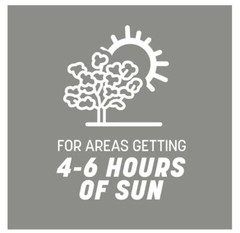 Pennington Contractors Central Grass Seed Mix, for Sun to Partial Shade, 7 lb.