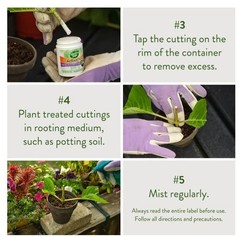 Garden Safe Take Root Rooting Hormone, 2-Ounce