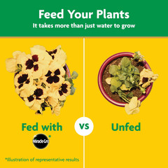 Water Soluble All Purpose Plant Food, for All Plant Types, 7.5 Lb.
