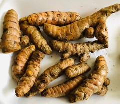 10PCS TUMERIC ROOTS FOR PLANT-CURCUMA LONGA-ARTHRITIS PAIN,MAKE TEA,COOKING
