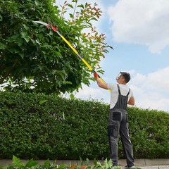 30ft Manual Pole Saw Extendable Tree Pruner Fiberglass Pole Scissors