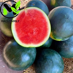 Sugar Baby Watermelon Seeds – Heirloom