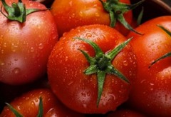 2026 Heirloom Vegetable Seeds – Premium Garden Seeds for Planting