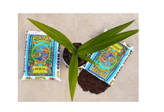 Ocean Forest 40 Lbs. 6.3-6.8 Ph Plant Garden Outdoor Potting Soil Mix Gardening