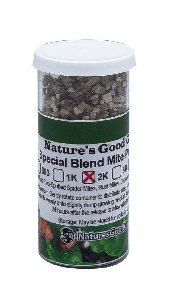 NaturesGoodGuys – Special Blend – Predatory Spider Mite Control – QTY2,000