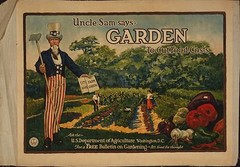 Seeds,Emergency,Survival Non-GMO,Organic,Heirloom 80 Pkgs 40 DifferentVarieties