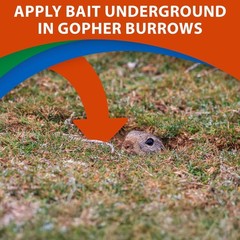 Monterey Go-DIE Gopher Animal Bait Pesticide, 1 Pound