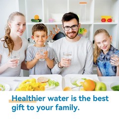 1/2/4 Replacement Refrigerator Refresh Ice Water Filter for LG LT1000P ADQ747935