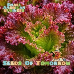 2000 Organic Ruby Red Lettuce Seeds Non Gmo Heirloom- With Bonus!