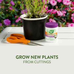 Garden Safe Take Root Rooting Hormone, 2-Ounce