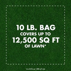 Triazicide Insect Killer for Lawns, Granules Kill Lawn-Damaging Insects, 10 lb
