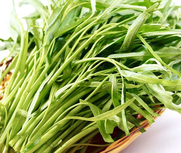 Ong Choy, Water Spinach – 200 Seeds – USA