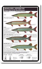 Tin Signs Vintage Style Fishing Art Freshwater Musky Pike Chart Cabin Picture