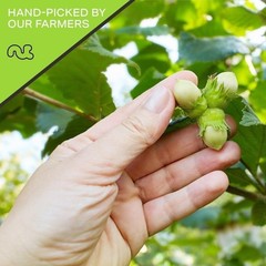 Raw Blanched Hazelnuts Filberts, No Shell, Nut Food Snack, All Natural, Kosher