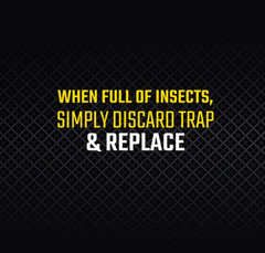 Black Flag Fly Paper, Insect Trap, Catches All Flying Insects 4 Traps