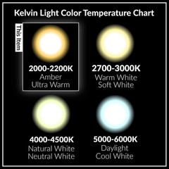 [6 Pack] LED Edison Filament ST21 6W 60W 120V Dimmable E26 2200K Warm Amber