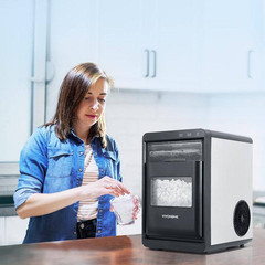 9.8 In. 45 Lb. Countertop Portable Nugget/Pebble Ice Maker in Stainless Steel wi