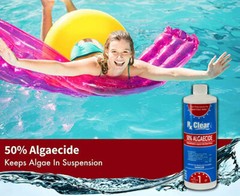 Rx Clear Algaecide 50 Plus Prevents Algae Swimming Pool Chemical – 32 oz Bottles