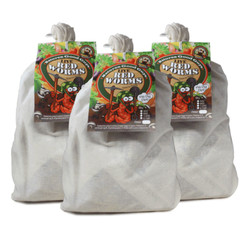 Compost Live Red Worms – Natures Good Guys – Red Wigglers