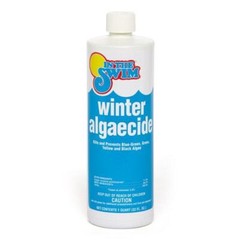 In The Swim Winter Algaecide for Swimming Pools – Winterizing Pool Algaecide
