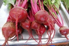 150+ Detroit Dark Red Beet Seeds- NON GMO- Open Pollinated-Organic