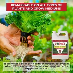 Hormex Vitamin B1 & Rooting Hormone Concentrate – Maximize Plant Growth & Health
