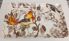 Williams Sonoma Marc Lacaze Botanical Birds Platter 15” year 2012