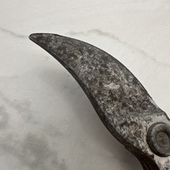 Vintage Corona BP 3160 1113V Standard Hand Pruning Shears