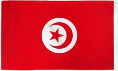 10 x “TUNISIA” flag 2×3 ft polyester banner sign African Country Middle East UN