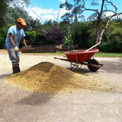 ETHIOPIAN YIRGACHEFFE COFFEE BEANS MEDIUM ROASTED 5 POUNDS