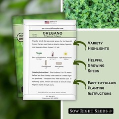 Fragrant Oregano Seeds for Indoor/Outdoor Gardening – Germinates in 7-14 Days