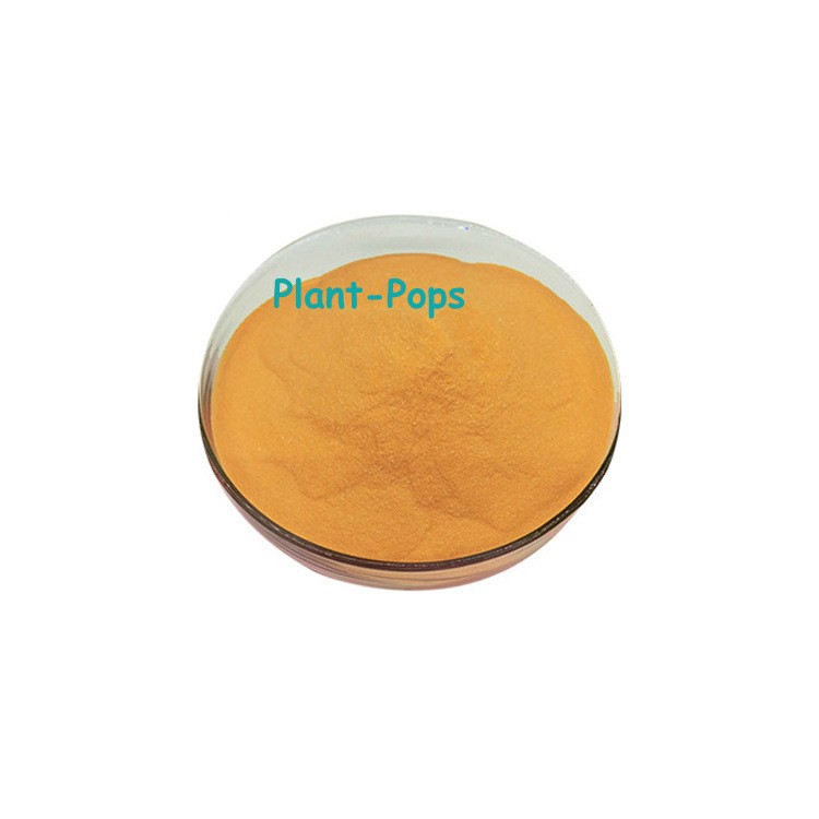 100g Liposoluble 98% Coenzyme Q10 (Ubiquinone) powder
