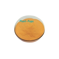 100g Liposoluble 98% Coenzyme Q10 (Ubiquinone) powder