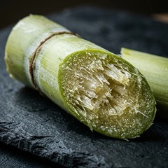 200 Green Sugarcane Seeds for Planting – Sweet, Juicy Rock Sugar Cane