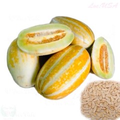 Fragrant Musk Melon seeds, Dưa Gang, Thai Long Muskmelon | Non-GMO, Organic