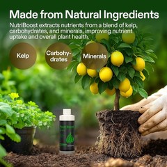 VIVOSUN Seaweed & Kelp Fertilizer Additive NutriBoost (0-0-1) 8 Ounces All Stage