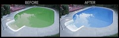 Algaecide 50 Plus Prevent Algae Swimming Pool Chemical – 32 oz (Choose Quantity)