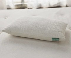 Avocado 100% Certified Organic Bed Pillow w/ Natural Latex and Kapok Fill Queen
