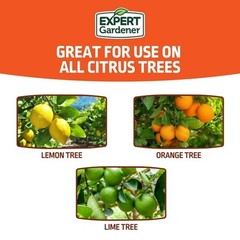 Expert Gardener Citrus Plant Food Fertilizer 6-4-6, 8 lb.