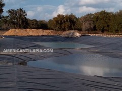 Pond liner 100×80 Strong,HDRPE 40 year Durability,Commercial grade for Fish pond