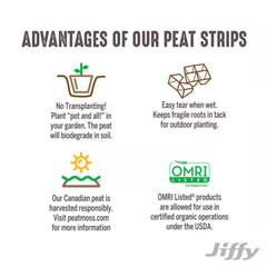 NEW Jiffy Peat Strips Seed Starter Kit 50 Biodegradable Pots Easy Plant Growth