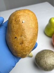 Vintage Paper Mache Faux Food Vegetables & Fruit Lot of 5 Handmade Garlic Pear