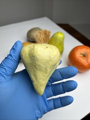 Vintage Paper Mache Faux Food Vegetables & Fruit Lot of 5 Handmade Garlic Pear