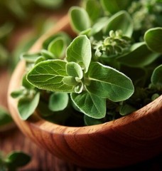 300+ ORGANIC Non-GMO Italian Oregano Seeds – Seeds Of Tomorrow