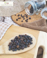 Organic Way Juniper Berries Whole – Organic, Kosher & USDA Certified