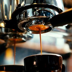 BRAZILIAN YELLOW BOURBON COFFEE BEANS ESPRESSO DARK ROASTED 2 POUNDS