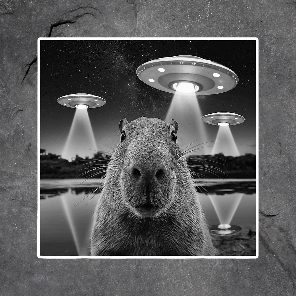 Capybara sticker vinyl decal ufo spaceship abduction surreal funny weird art